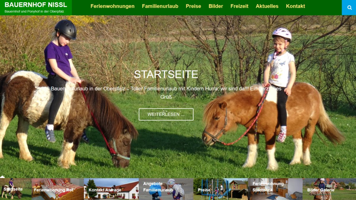 homepage-ponyhof-oberpfalz-website-erstellenneunburg-vorm-wald