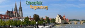 webdesign-regensburg-responsive-homepage-erstellen-internetagentur