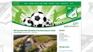 webdesign-sportverein-website-erstellen-wordpress-homepage