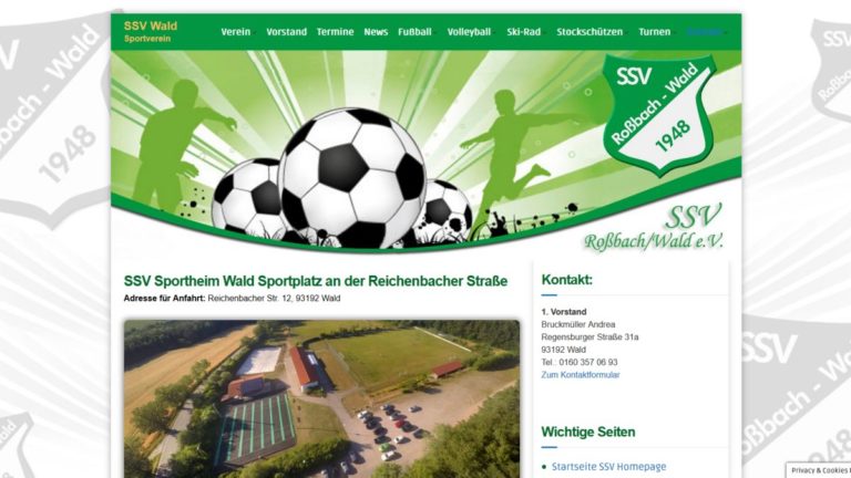 webdesign-sportverein-website-erstellen-wordpress-homepage