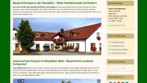 webseiten-erstellen-neunburg-schwandorf-ponyhof-oberpfalz